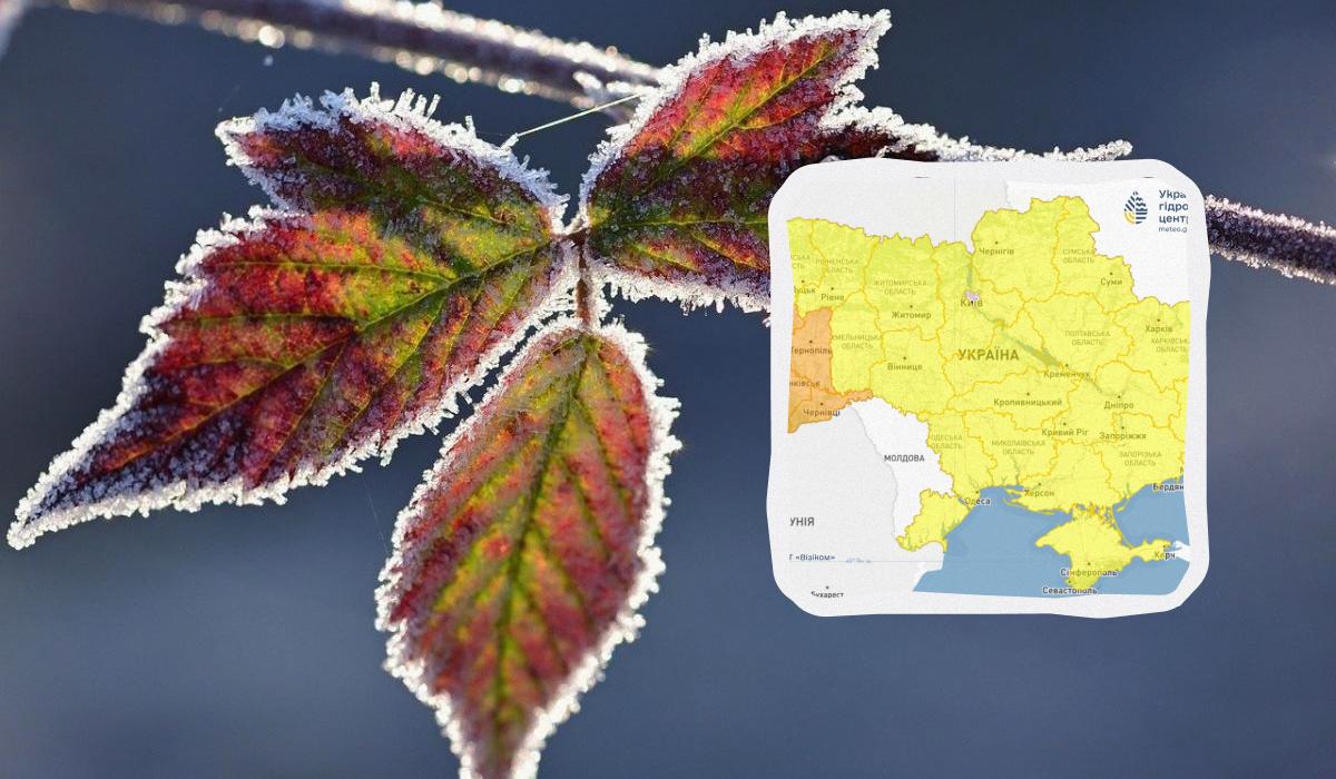 Заморозки в Украине усилятся: синоптики предупредили об опасности (карта)