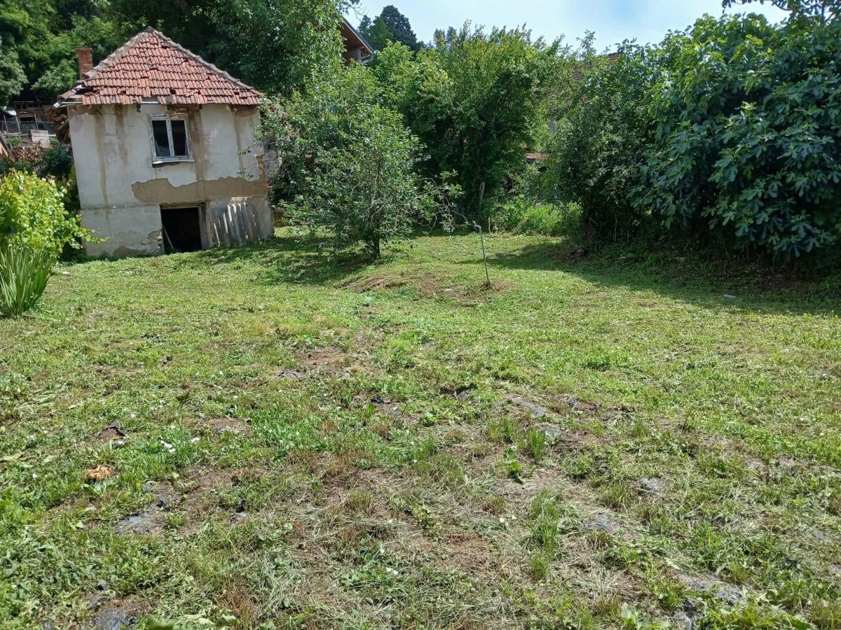 Будинок біля Дунаю виставили за €10 тисяч: чому ціна така низька Будинок біля Дунаю виставили за €10 тисяч: чому ціна така низька