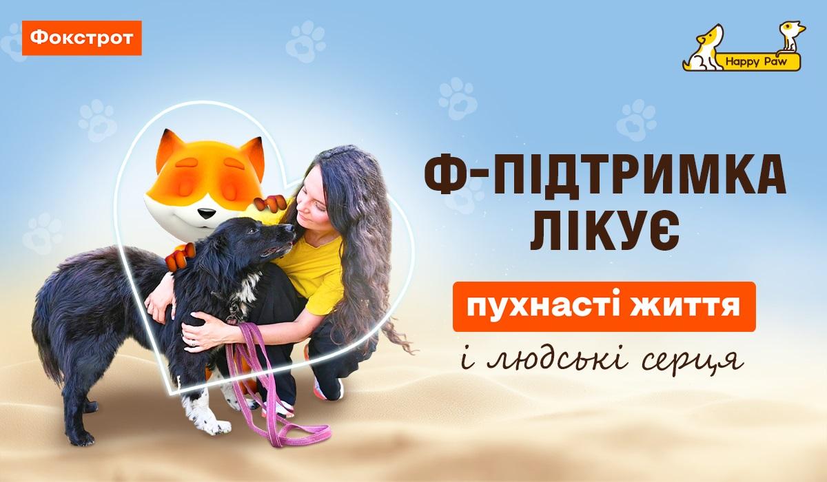 'Ф-підтримка лікує': Фокстрот і Happy Paw запустили новий етап допомоги безхатнім тваринам