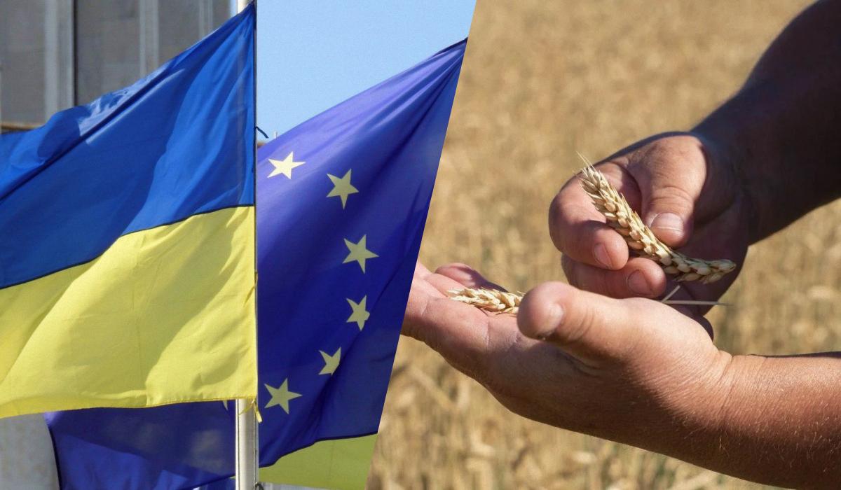 Україні можуть обмежити доступ агропродукції до ринку ЄС: Висоцький зробив заяву Україні можуть обмежити доступ агропродукції до ринку ЄС: Висоцький зробив заяву