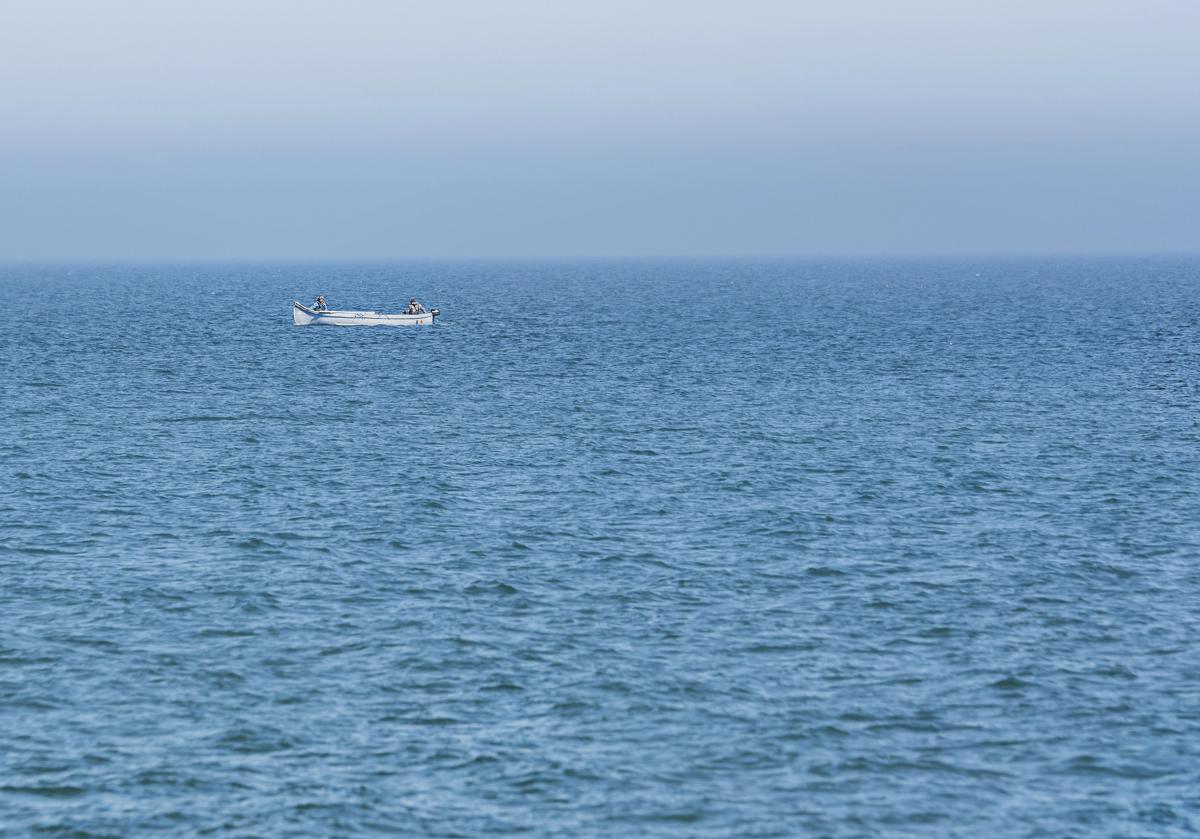 Риба з Тихого океану прижилася в Чорному морі: її ловлять дедалі частіше