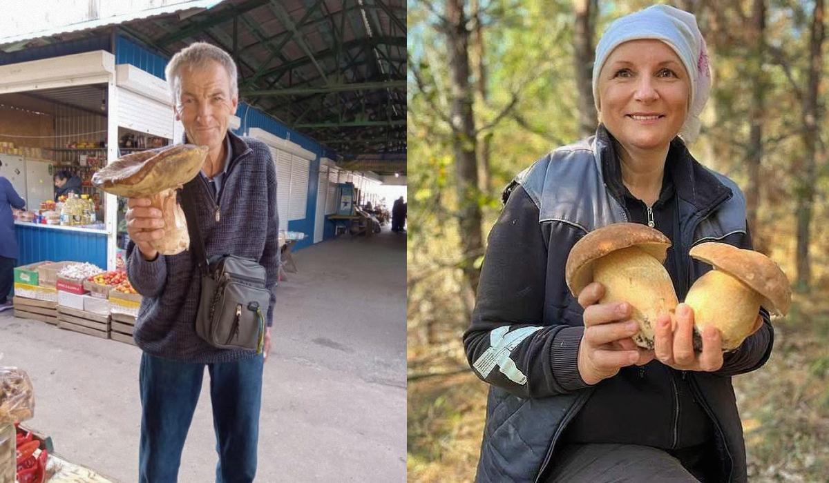 У лісах Чернігівщини знаходять гриби-гіганти: найбільший важить понад два кілограми (фото) У лісах Чернігівщини знаходять гриби-гіганти: найбільший важить понад два кілограми (фото)
