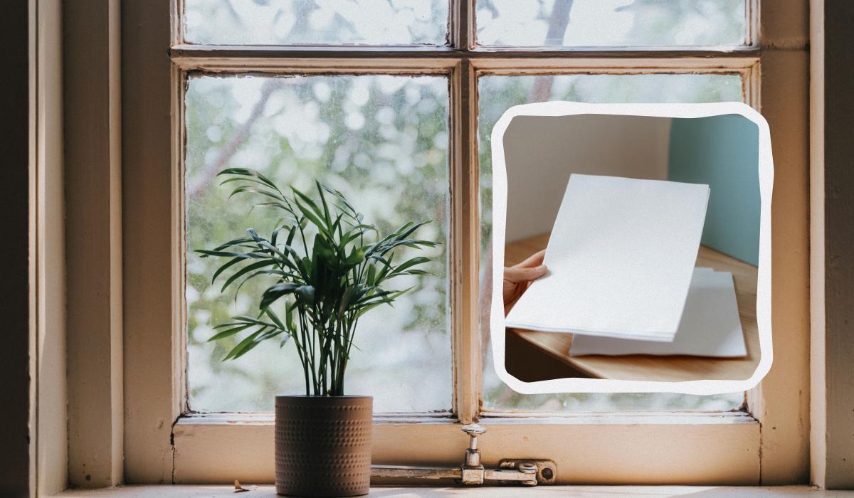 як зрозуміти, що вікна пропускають холод як зрозуміти, що вікна пропускають холод