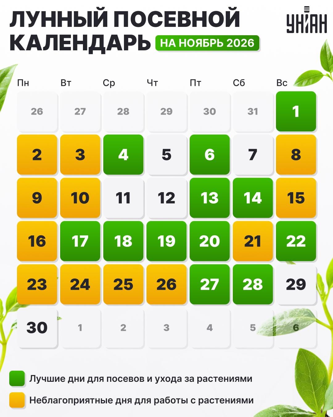 лунный посевной календарь на 2026 год лунный посевной календарь на 2026 год