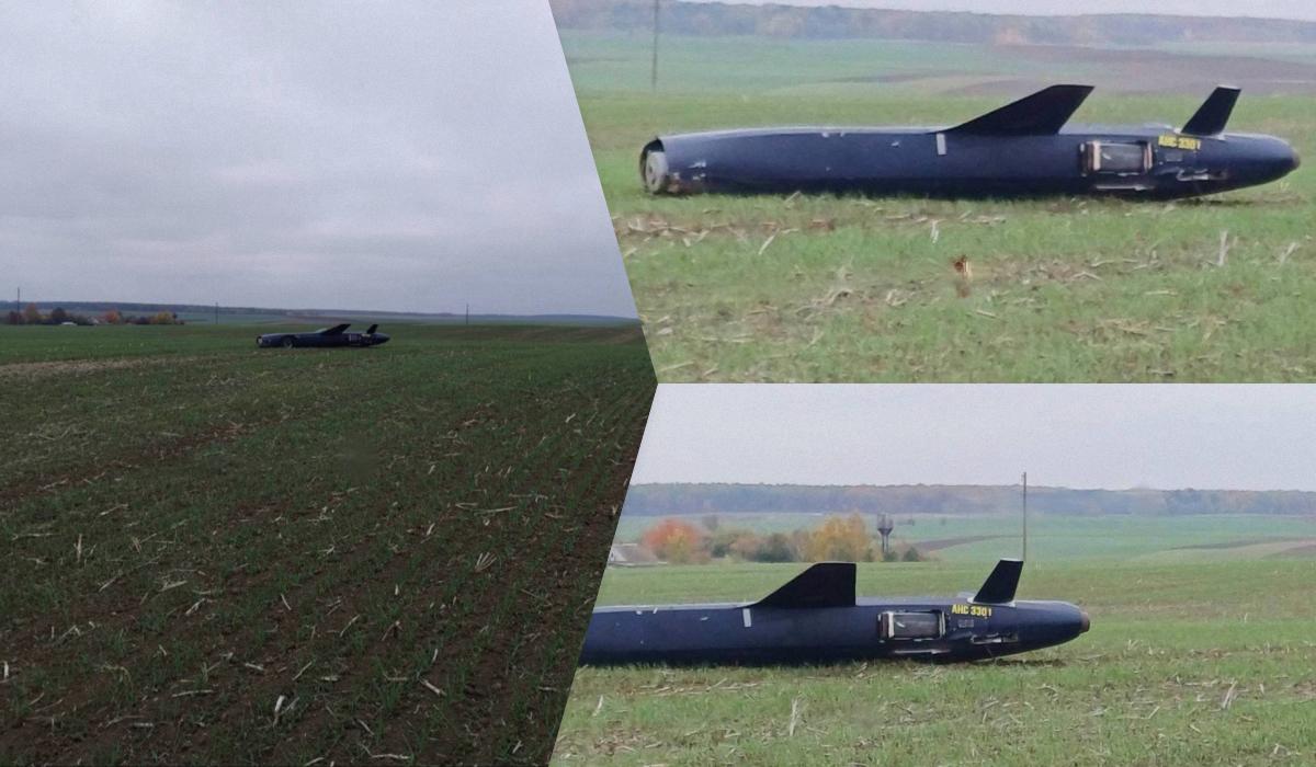 На Одещині виявили невідому російську крилату ракету