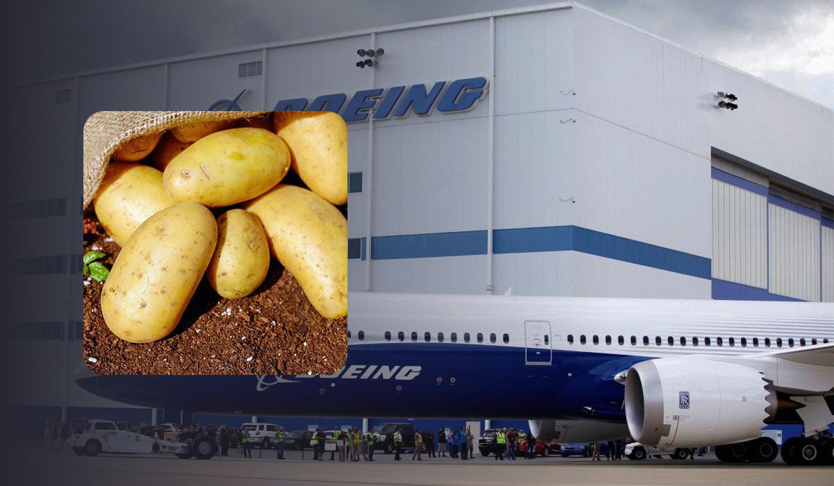 Компанія Boeing замінила пасажирів на 9 тонн картоплі: це покращило якість Wi-Fi в літаку
