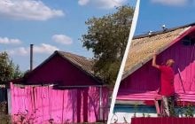 Розовый дом и хозяин в том же стиле: необычная усадьба поразила пользователей сети (видео)