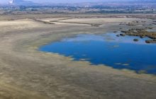 Одно из крупнейших озёр Греции почти исчезло: что происходит