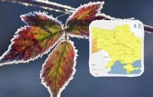 Заморозки в Украине усилятся: синоптики предупредили об опасности (карта)