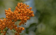 Останній подих літа: 7 жовтня Україну розігріє  до +24°