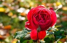 10 октября погода в Украине улучшится