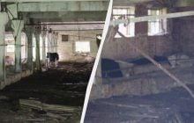 Біля Чорнобиля здичавілі корови обжили покинуту ферму (фото)