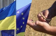 Україні можуть обмежити доступ агропродукції до ринку ЄС: Висоцький зробив заяву