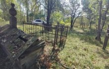 На кладбищах вокруг Чернобыля растут деревья со стволами больше 5 метров в обхвате