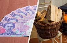 Дрова і вугілля з великою знижкою: як оформити субсидію на тверде паливо