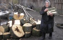 Чи можна самостійно збирати дрова в лісі: що кажуть чиновники