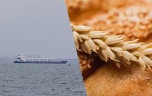 Украина ведет переговоры с тремя странами об организации зернового коридора, – Bloomberg