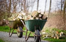 Украинцы могут получить бесплатные дрова на зиму: куда подать заявление