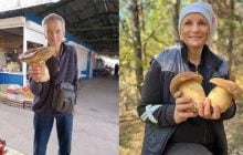 У лісах Чернігівщини знаходять гриби-гіганти: найбільший важить понад два кілограми (фото)