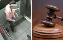 У Лас-Вегасі канадський турист, випивши 40 порцій пива, вкрав фламінго – тепер йому загрожує в'язниця