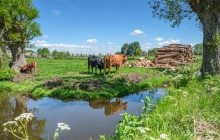 Ферма в Испании бесплатно поселит в доме с бассейном: что нужно делать