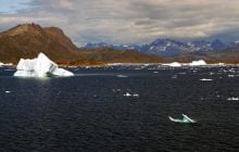 Забытые образцы почвы из Гренландии спустя 60 лет поразили ученых