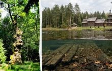 На Поліссі є таємниче озеро, дно якого, за легендою, встелили дубом для панночки
