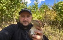 Не назбирав лише ледачий: грибний сезон в Україні став найурожайнішим за десятиліття