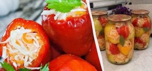 Фарширую перцы капустой и кладу в банки: молдавская закуска - хит стола 2026