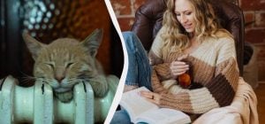 Пока не включили отопление, делаю этот трюк с батареями: до весны жарко, как в Африке