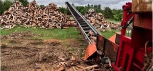 Чоловік замовив дровокол на Temu: результат після року роботи його здивував