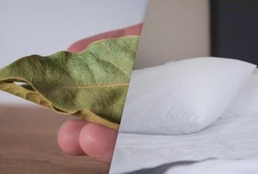 Лавровий лист під подушкою: який ефект може мати ця звичка