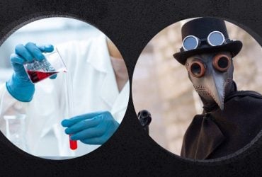 Чи може чума з Росії дістатися України і як вона лікується: відповідь інфекціоністки