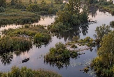 В Україні є місце, де можна заблукати серед річок: що приховує волинська Амазонія