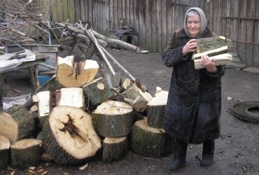 Можно ли самостоятельно собирать дрова в лесу: что говорят чиновники