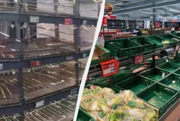 Марафон встигни все: українка показала зворотний бік німецького комфорту (фото)