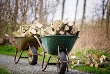 Українці можуть отримати безкоштовні дрова на зиму: куди подати заяву
