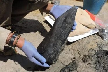 Археологи нашли деревянную конструкцию возрастом 476 000 лет: никто не знает, кто её построил