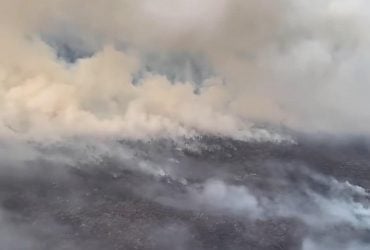 Лісові пожежі в Індонезії загрожують наскельним малюнкам віком понад 67 тисяч років