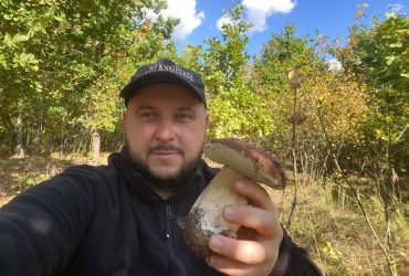 Не назбирав лише ледачий: грибний сезон в Україні став найурожайнішим за десятиліття