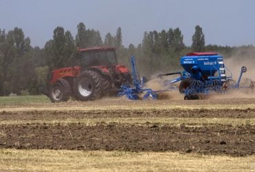 Ще один рік не витримаємо: міністр оцінив наслідки блокади портів для агросектору