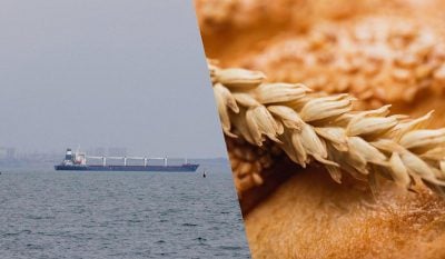 Україна веде переговори з трьома країнами щодо організації зернового коридору, - Bloomberg