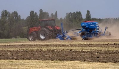 Ще один рік не витримаємо: міністр оцінив наслідки блокади портів для агросектору